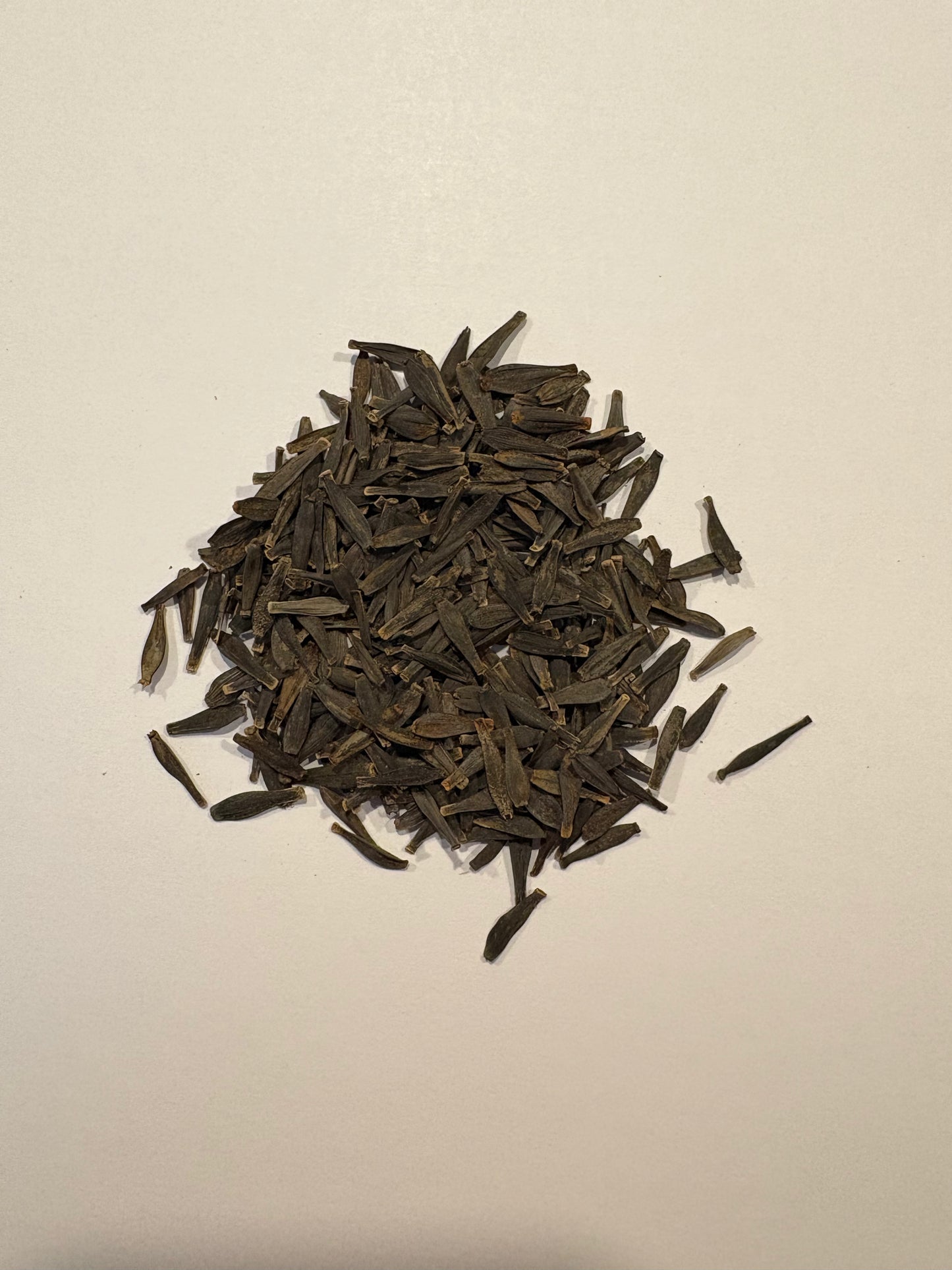 Dahlia Seeds