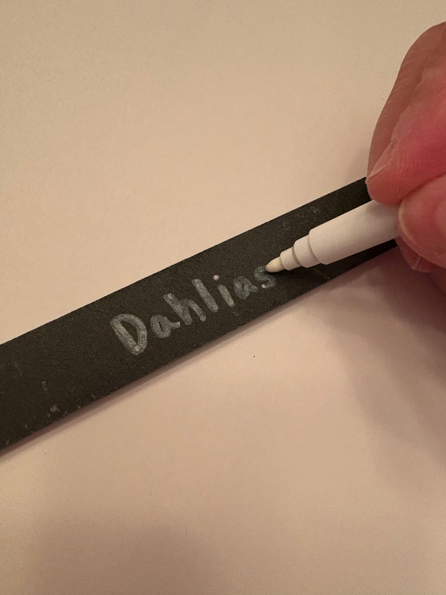 Slate Garden Plant Labeling Stake and Chalk Marker