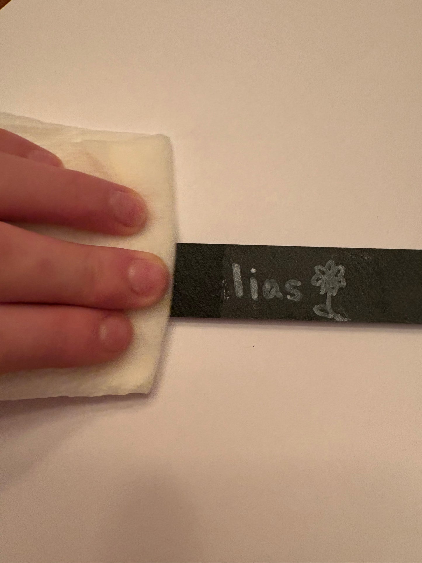 Slate Garden Plant Labeling Stake and Chalk Marker